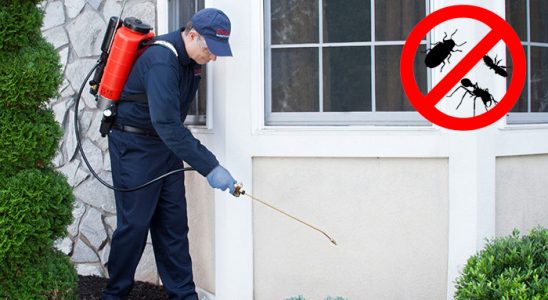 Manavkuyu Bit İlaçlama böcek ilaçlama ve haşere kontrolü — ilaclama-tr.com